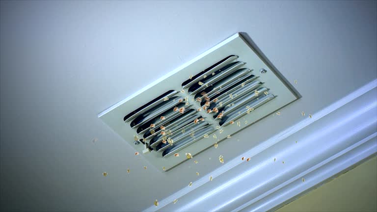 Reliable Petersburg, MI Airduct Cleaning Solutions