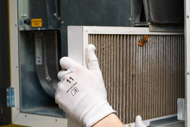 Best Affordable Air Duct Cleaning  in Petersburg, MI