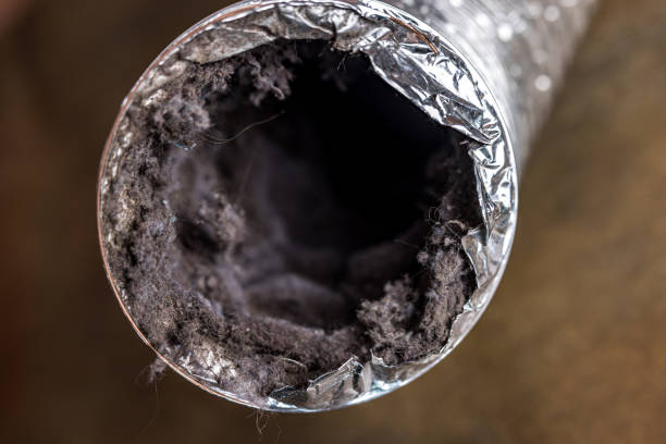 Best HVAC Air Duct Cleaning  in Petersburg, MI