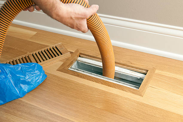 Best HVAC Duct Inspection Services  in Petersburg, MI