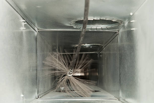 Best HVAC System Cleaning  in Petersburg, MI
