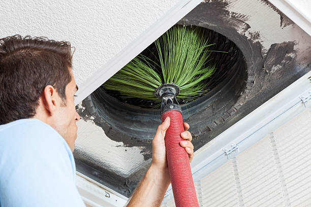 Best Air Duct Sanitizing Services  in Petersburg, MI