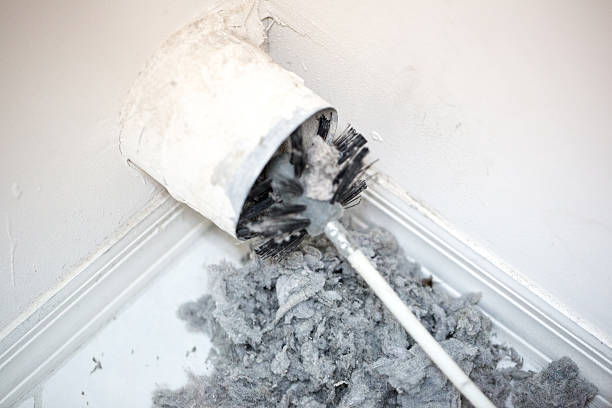 Best Affordable HVAC Duct Cleaning  in Petersburg, MI