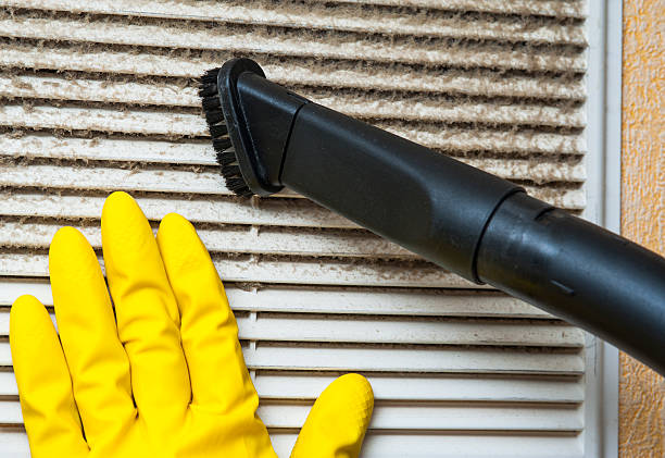 Best Professional Duct Cleaning Services  in Petersburg, MI